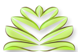 logo Pyara Bodywork